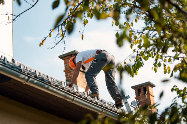 Best Roof Gutter Cleaning  in Nephi, UT
