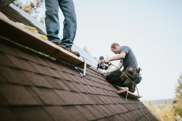 Best Roof Waterproofing Services  in Nephi, UT